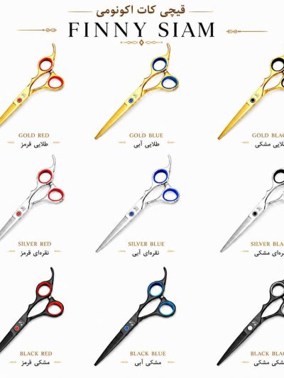 قیچی اکونومی (اقتصادی)
